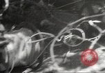 Image of Japanese soldiers in combat Philippines, 1942, second 42 stock footage video 65675062362