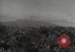 Image of Japanese soldiers in combat Philippines, 1942, second 48 stock footage video 65675062362