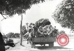 Image of Japanese occupying soldiers Philippines, 1942, second 46 stock footage video 65675062363