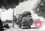 Image of Japanese occupying soldiers Philippines, 1942, second 48 stock footage video 65675062363