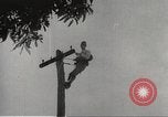 Image of Japanese occupying soldiers Philippines, 1942, second 60 stock footage video 65675062363