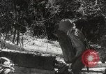 Standbild Japanische Truppen während der Besetzung der Philippinen Philippinen, 1942, aus Sekunde 1 historischem Filmmaterial Videoclip 65675062364
