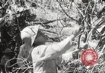 Standbild Japanische Truppen während der Besetzung der Philippinen Philippinen, 1942, aus Sekunde 30 historischem Filmmaterial Videoclip 65675062364