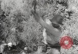 Standbild Japanische Truppen während der Besetzung der Philippinen Philippinen, 1942, aus Sekunde 39 historischem Filmmaterial Videoclip 65675062364