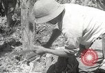 Standbild Japanische Truppen während der Besetzung der Philippinen Philippinen, 1942, aus Sekunde 49 historischem Filmmaterial Videoclip 65675062364