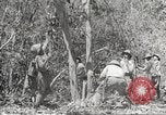 Standbild Japanische Truppen während der Besetzung der Philippinen Philippinen, 1942, aus Sekunde 54 historischem Filmmaterial Videoclip 65675062364
