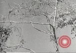 Standbild Japanische Truppen während der Besetzung der Philippinen Philippinen, 1942, aus Sekunde 55 historischem Filmmaterial Videoclip 65675062364
