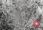 Standbild Japanische Truppen während der Besetzung der Philippinen Philippinen, 1942, aus Sekunde 57 historischem Filmmaterial Videoclip 65675062364