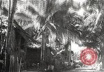 Image of Japanese soldiers Philippines, 1942, second 27 stock footage video 65675062365