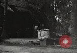 Image of Japanese soldiers Philippines, 1942, second 29 stock footage video 65675062365