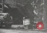 Image of Japanese soldiers Philippines, 1942, second 30 stock footage video 65675062365