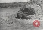 Standbild japanische Soldaten Bataan Luzon Philippinen, 1942, aus Sekunde 29 historischem Filmmaterial Videoclip 65675062366