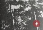 Standbild japanische Soldaten Philippinen, 1942, aus Sekunde 3 historischem Filmmaterial Videoclip 65675062367