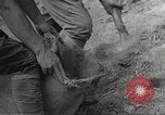 Standbild japanische Soldaten Philippinen, 1942, aus Sekunde 11 historischem Filmmaterial Videoclip 65675062367