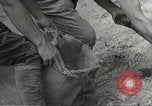 Standbild japanische Soldaten Philippinen, 1942, aus Sekunde 12 historischem Filmmaterial Videoclip 65675062367