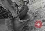 Standbild japanische Soldaten Philippinen, 1942, aus Sekunde 13 historischem Filmmaterial Videoclip 65675062367