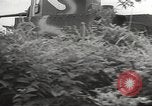 Image of Japanese bomber aircraft Philippines, 1942, second 10 stock footage video 65675062371