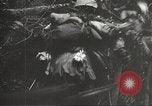 Image of Japanese bomber aircraft Philippines, 1942, second 15 stock footage video 65675062371
