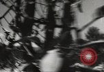 Image of Japanese bomber aircraft Philippines, 1942, second 19 stock footage video 65675062371