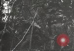 Image of Japanese bomber aircraft Philippines, 1942, second 23 stock footage video 65675062371