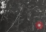 Image of Japanese bomber aircraft Philippines, 1942, second 24 stock footage video 65675062371