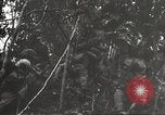 Image of Japanese bomber aircraft Philippines, 1942, second 25 stock footage video 65675062371