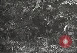 Image of Japanese bomber aircraft Philippines, 1942, second 27 stock footage video 65675062371