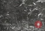 Image of Japanese bomber aircraft Philippines, 1942, second 28 stock footage video 65675062371