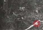 Image of Japanese bomber aircraft Philippines, 1942, second 29 stock footage video 65675062371