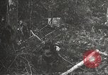 Image of Japanese bomber aircraft Philippines, 1942, second 30 stock footage video 65675062371