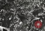 Image of Japanese bomber aircraft Philippines, 1942, second 34 stock footage video 65675062371