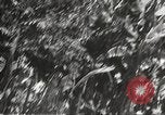 Image of Japanese bomber aircraft Philippines, 1942, second 35 stock footage video 65675062371