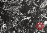 Image of Japanese bomber aircraft Philippines, 1942, second 37 stock footage video 65675062371