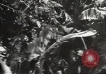 Image of Japanese bomber aircraft Philippines, 1942, second 40 stock footage video 65675062371