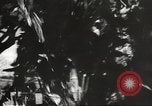 Image of Japanese bomber aircraft Philippines, 1942, second 44 stock footage video 65675062371
