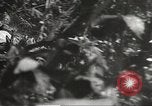 Image of Japanese bomber aircraft Philippines, 1942, second 46 stock footage video 65675062371