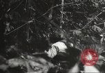Image of Japanese bomber aircraft Philippines, 1942, second 47 stock footage video 65675062371