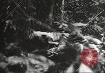 Image of Japanese bomber aircraft Philippines, 1942, second 50 stock footage video 65675062371
