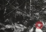 Image of Japanese bomber aircraft Philippines, 1942, second 53 stock footage video 65675062371
