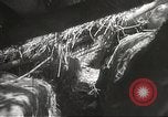 Image of Japanese battle in Philippines Philippines, 1942, second 42 stock footage video 65675062372