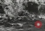 Image of Japanese battle in Philippines Philippines, 1942, second 43 stock footage video 65675062372
