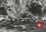 Image of Japanese battle in Philippines Philippines, 1942, second 44 stock footage video 65675062372