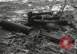 Image of Japanese battle in Philippines Philippines, 1942, second 45 stock footage video 65675062372