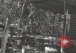 Image of Japanese battle in Philippines Philippines, 1942, second 54 stock footage video 65675062372