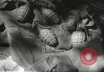 Image of Japanese battle in Philippines Philippines, 1942, second 55 stock footage video 65675062372