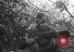 Image of Japanese battle in Philippines Philippines, 1942, second 57 stock footage video 65675062372