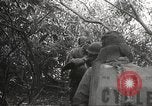 Image of Japanese battle in Philippines Philippines, 1942, second 59 stock footage video 65675062372