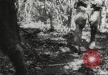 Image of Japanese battle in Philippines Philippines, 1942, second 61 stock footage video 65675062372