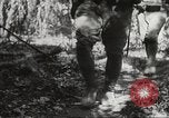 Image of Japanese battle in Philippines Philippines, 1942, second 62 stock footage video 65675062372
