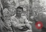 Image of Japanese occupation of Philippines Philippines, 1942, second 18 stock footage video 65675062376